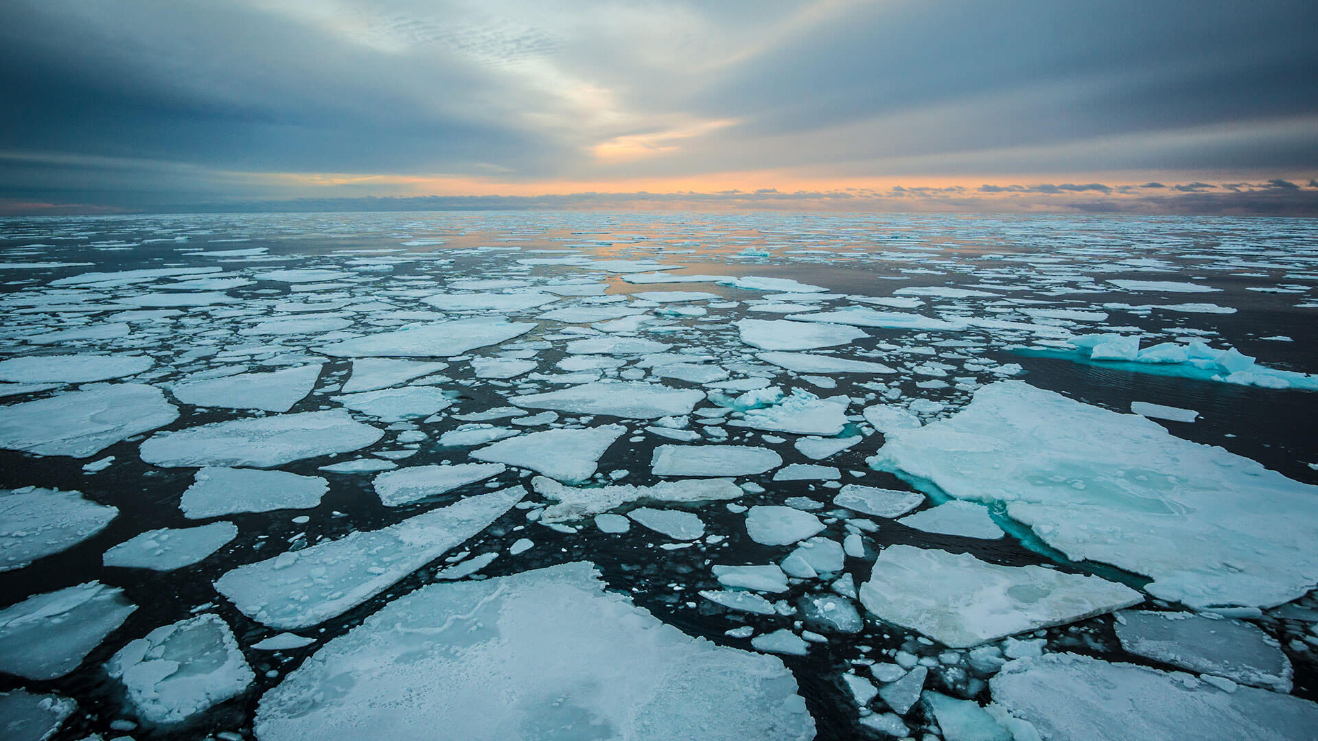 یخ‌های اقیانوس شمالگان سریع‌تر از همیشه در حال ذوب شدن است