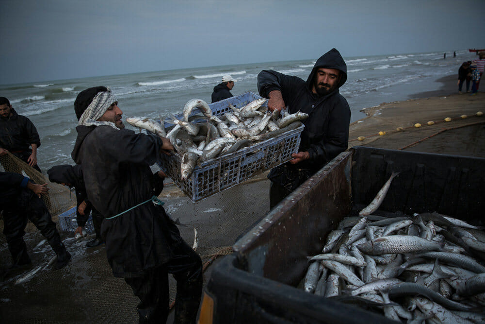 صیادان مازندران در حال ماهیگیری از دریای کاسپین