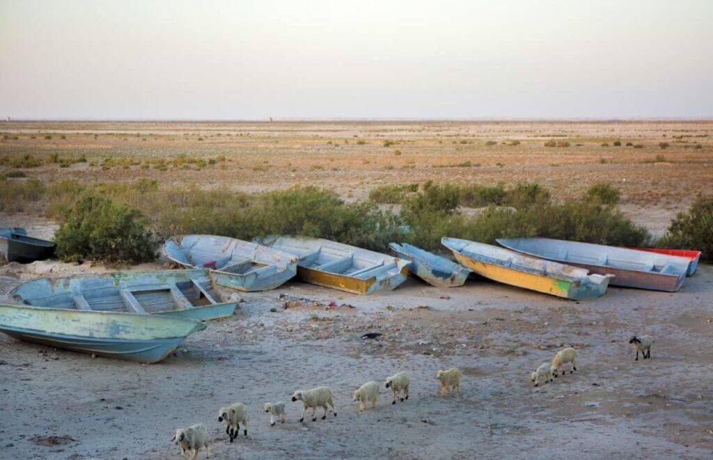 قایق های رها شده در تالاب و دریاچه هامون
