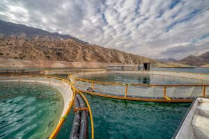 پرورش ماهی در قفس در سواحل ایران
